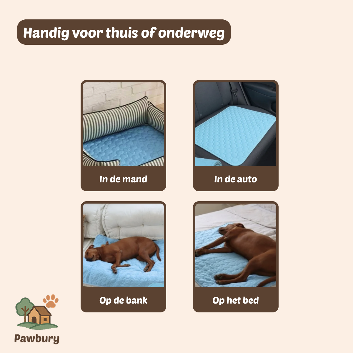 Pawbury's CoolingMat - Een verkoelend zacht oppervlak voor uw huisdier